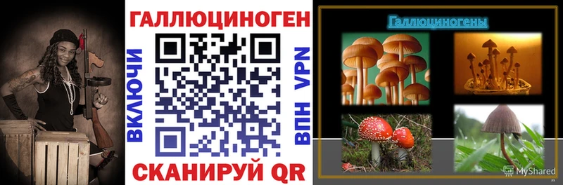 что такое   Белгород  Галлюциногенные грибы Psilocybine cubensis 
