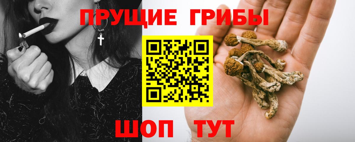 Псилоцибиновые грибы MAGIC MUSHROOMS  Вход с VPN  Белгород 
