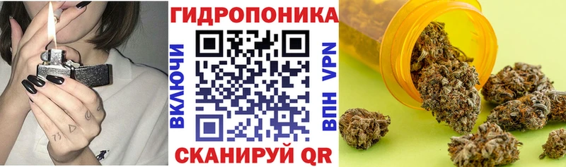 Бошки Шишки план  Белгород 